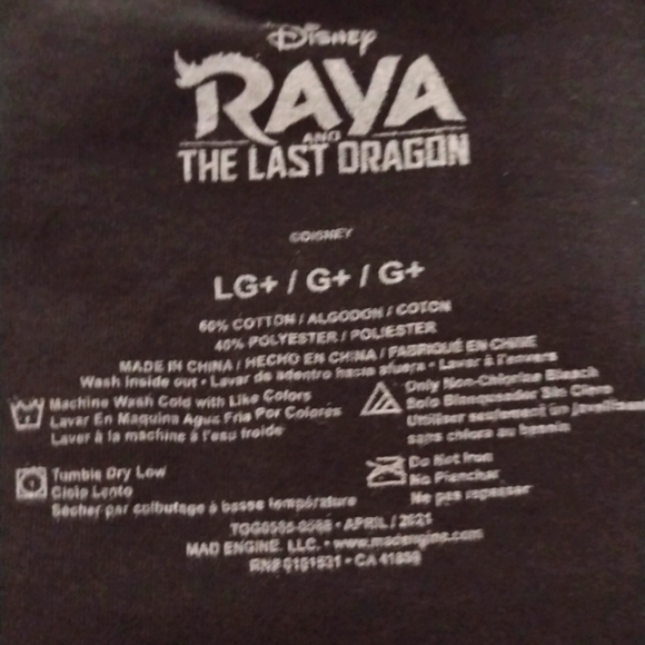 NWT Girls' Disney Raya Short Sleeve Graphic T-Shirt - L PLUS/XXL - Picture 4 of 4